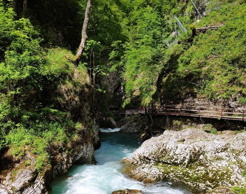 Vintgar Gorge, Near Bled, Upper Carniola, Slovenia